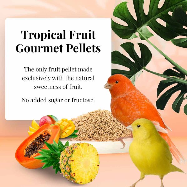 Lafeber's Tropical Fruit Gourmet Canary Pellet