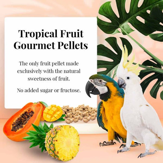 Lafeber's Tropical Fruit Gourmet Macaw/Cockatoo Pellet