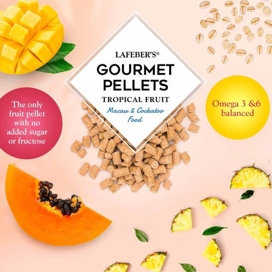 Lafeber's Tropical Fruit Gourmet Macaw/Cockatoo Pellet