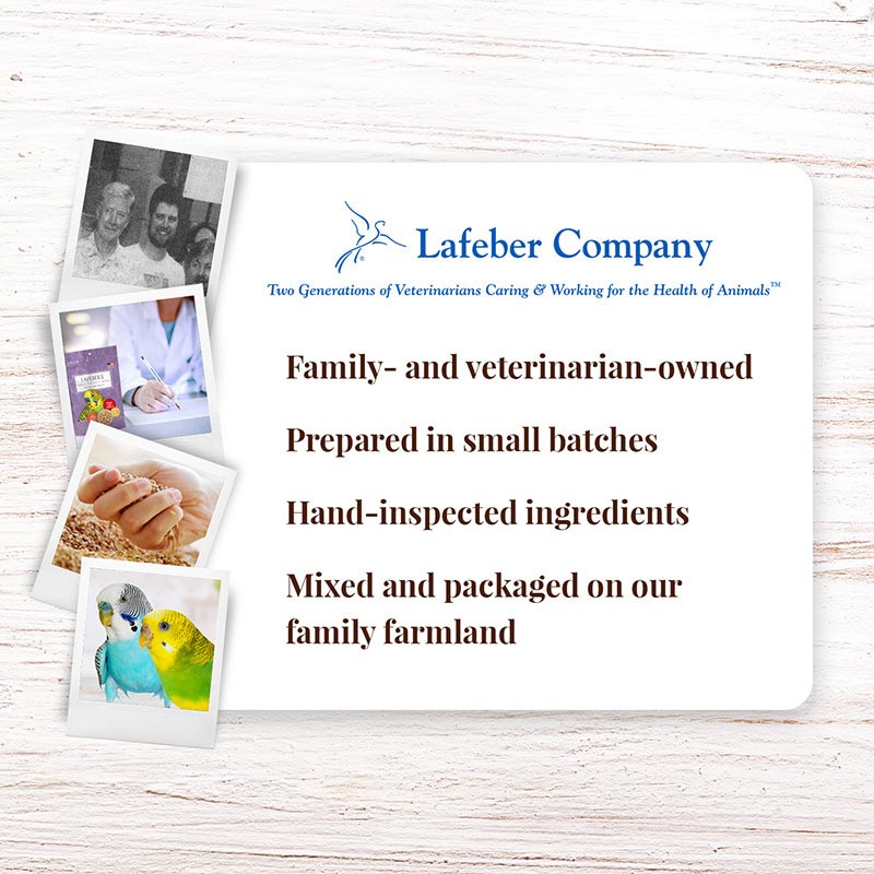 Lafeber's Premium Daily Diet Parakeet