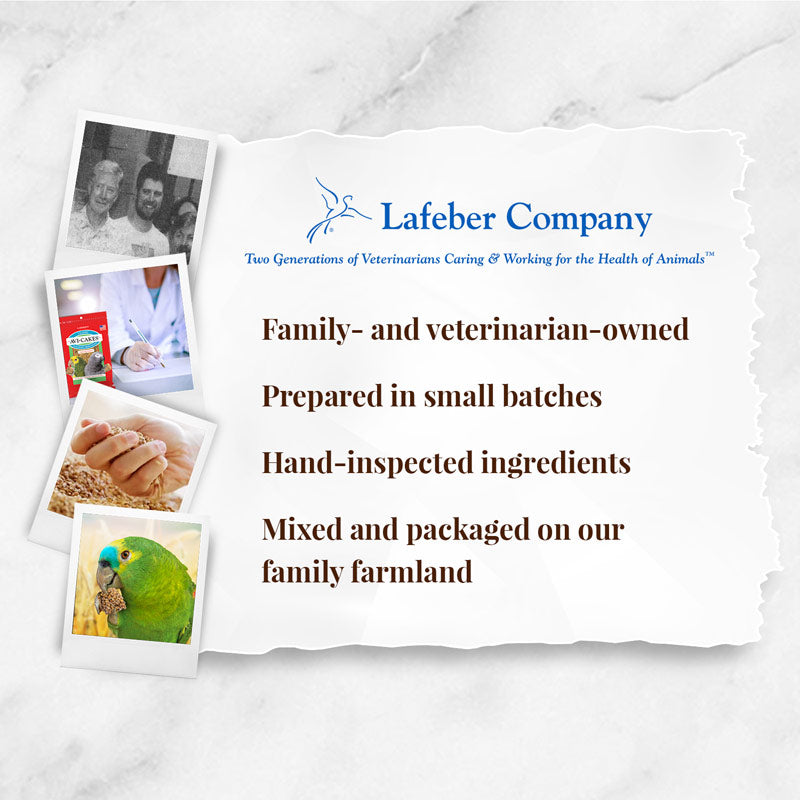 Lafeber's Classic Avi-Cakes Parrot
