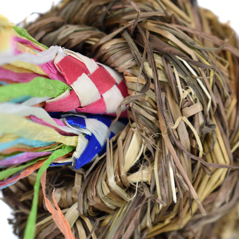 Billy Bird Toys Shredda-Ball Medium Parrot - 2031 🍁
