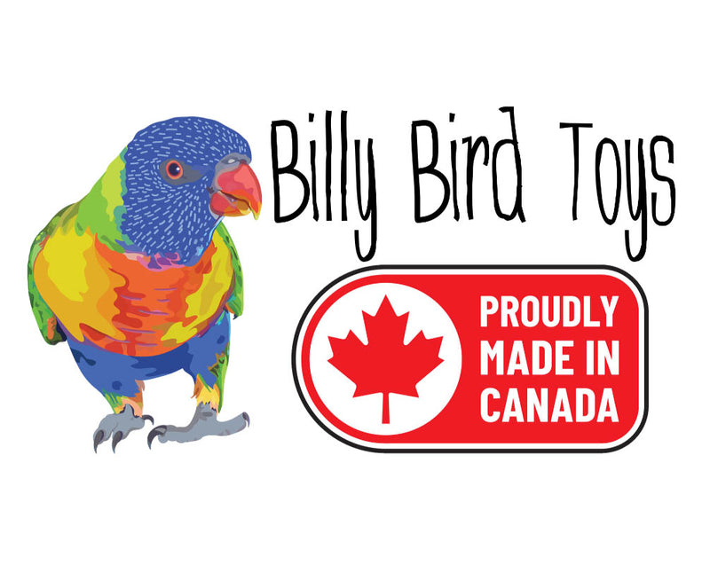 Billy Bird Toys Toss N Match Medium Parrot Enrichment - 3010