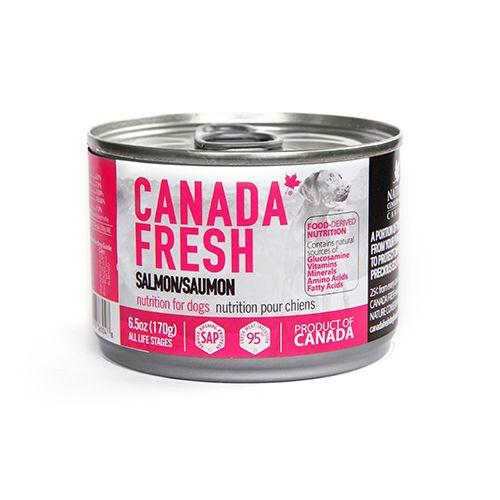 Canada Fresh Salmon Pate Wet Dog Food