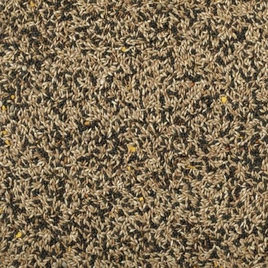 Mixed Canary Seed by Conestogo Bird Seed Company - Exotic Wings and Pet Things