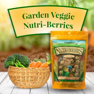 Lafeber's Garden Veggie Gourmet Nutri-Berries for Parrots - Exotic Wings and Pet Things