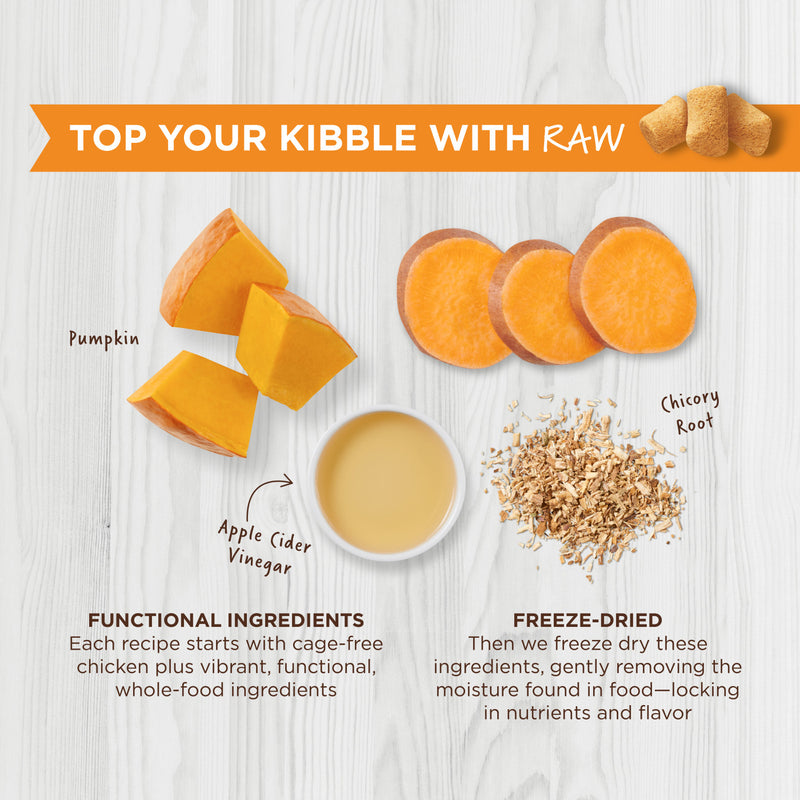 Instinct Raw Boost Digestive Health Cat Meal Mixer
