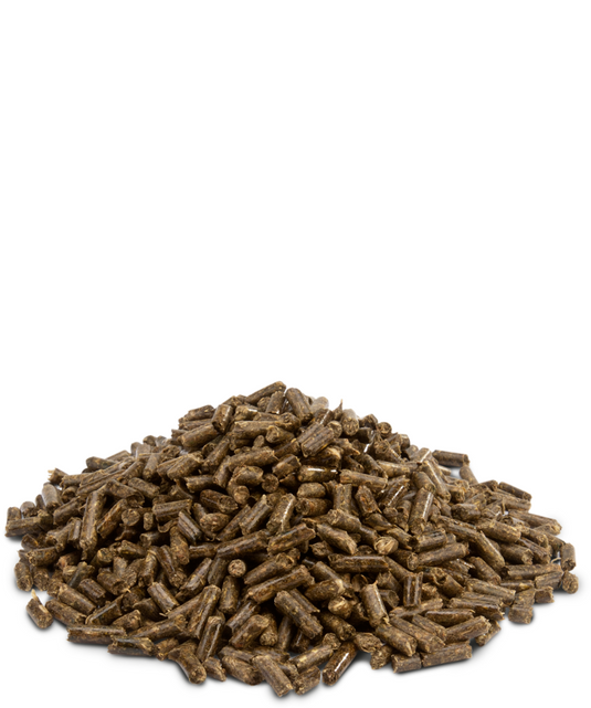 Versele-Laga Crispy Pellets Chinchilla & Degu Food - Exotic Wings and Pet Things