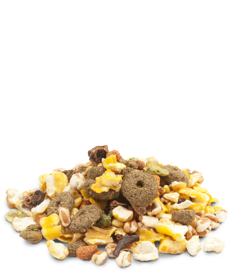 Versele-Laga Crispy Snack Popcorn - Exotic Wings and Pet Things