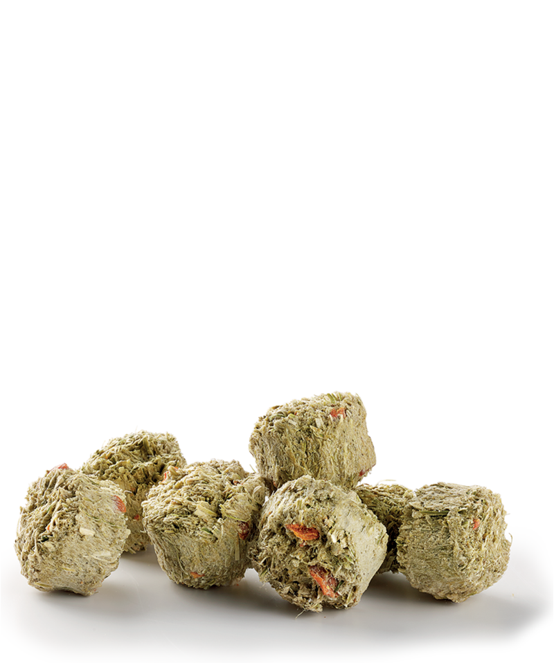 Versele-Laga Crispy Crunchies Hay & Carrot Biscuit - Exotic Wings and Pet Things
