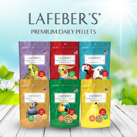 Lafeber's Premium Daily Diet Canary Food