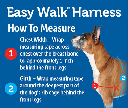 PetSafe Easy Walk Harness Black
