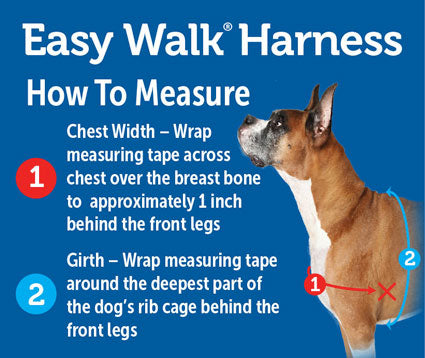 PetSafe Easy Walk Harness Black