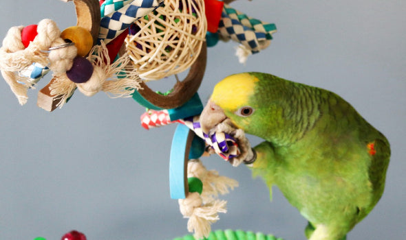 HARI Smart Play Enrichment Parrot Toy Space Station - 81006
