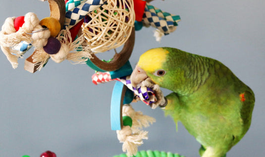HARI Smart Play Enrichment Parrot Toy Space Station - 81006