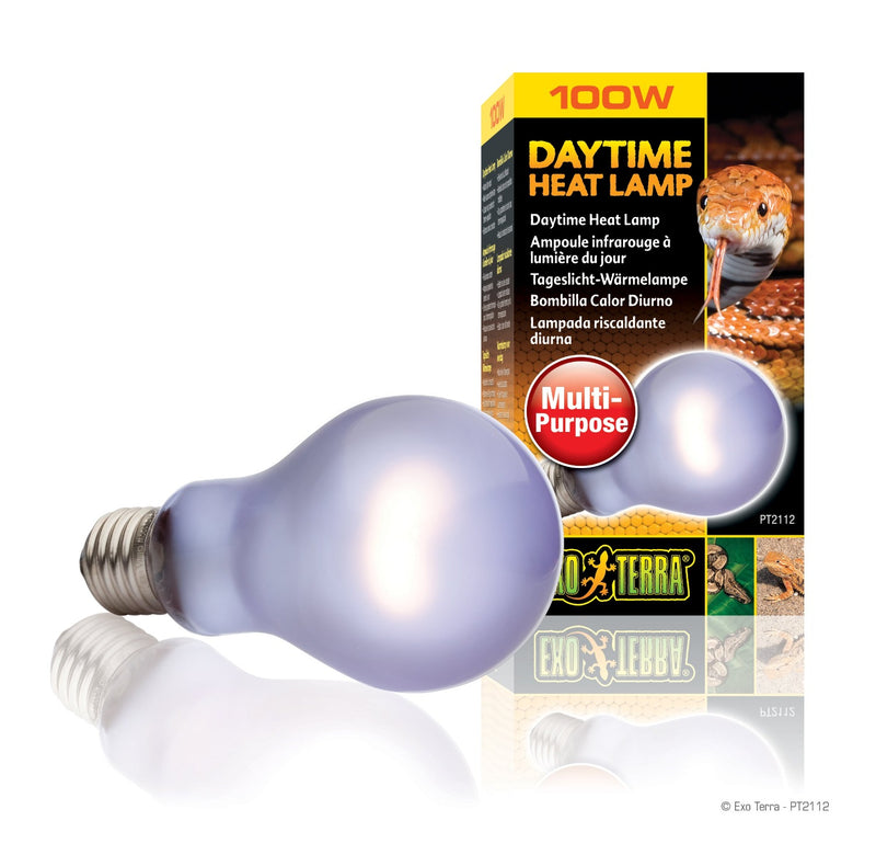 Exo Terra Daytime Heat Lamp - Exotic Wings and Pet Things
