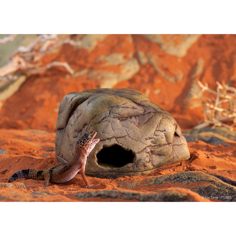 Gecko Cave Nesting Hide MED-LG