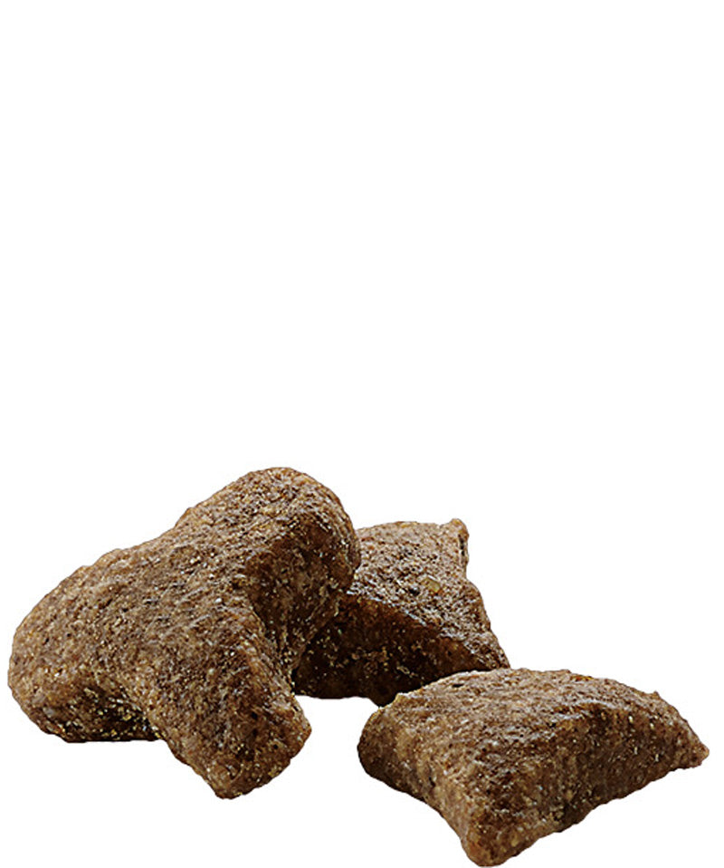 Versele-Laga Complete Ferret Food - Exotic Wings and Pet Things

