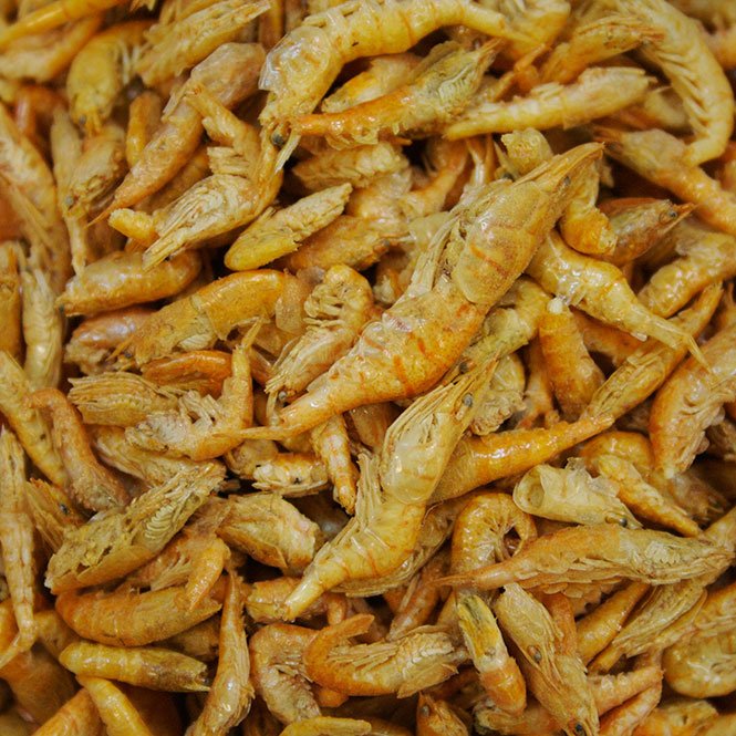 Omega One Freeze Dried Shrimp Tropical Fish Treat