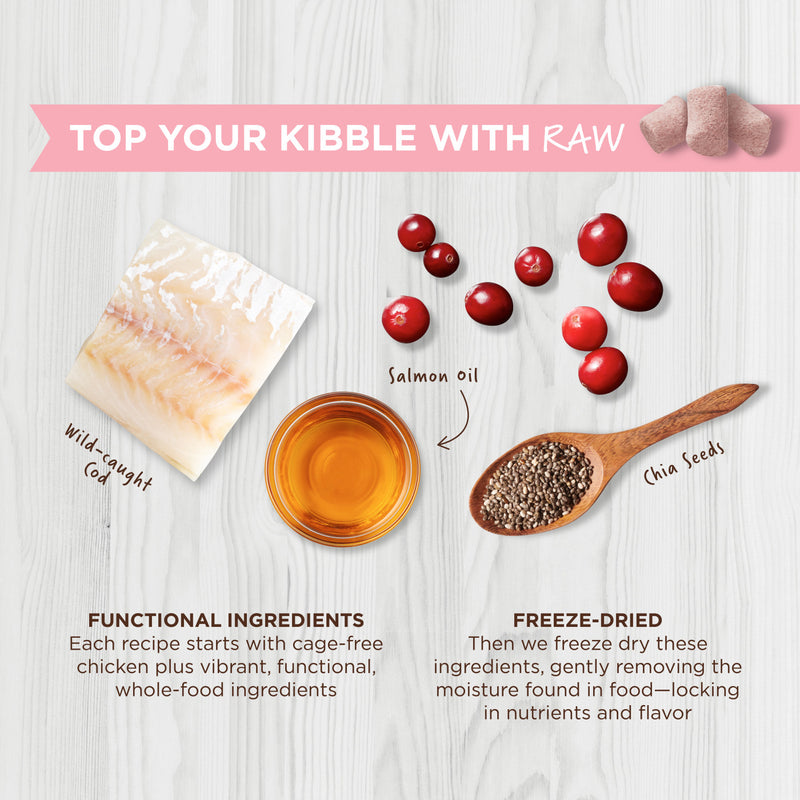 Instinct Raw Boost Skin & Coat Cat Meal Mixer
