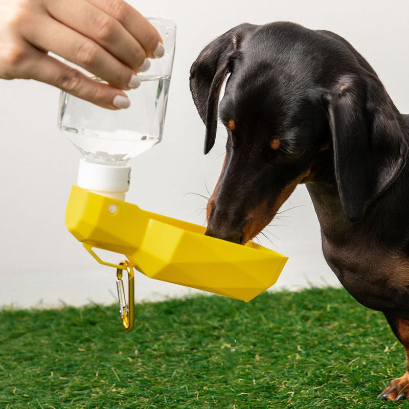 GF Pet Travel Water Bottle
