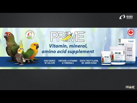 Load and play video in Gallery viewer, Prime Vitamin Mineral Amino Acid Supplement - Probiotic for All Birds 🍁

