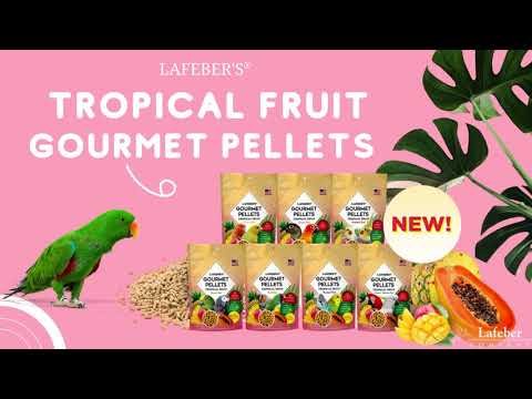 Load and play video in Gallery viewer, Lafeber&#39;s Tropical Fruit Gourmet Cockatiel/Small Bird Pellet
