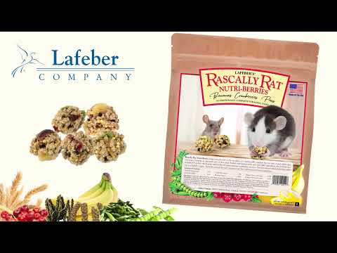 Load and play video in Gallery viewer, Lafeber&#39;s Rascally Rat Nutri-Berries
