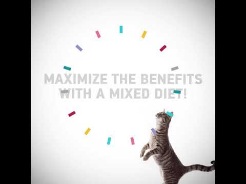 Load and play video in Gallery viewer, 1st Choice Sterilized Grain Free Shredded Chicken &amp; Sardine Wet Cat Food - 24 x 85g🍁

