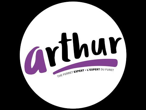 Load and play video in Gallery viewer, Arthur The Ferret Expert - Ferret Food for All Life Stages Complete Nutrition 🍁
