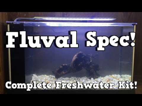Load and play video in Gallery viewer, Fluval Spec Aquarium Kit - Black | Store Pickup Only
