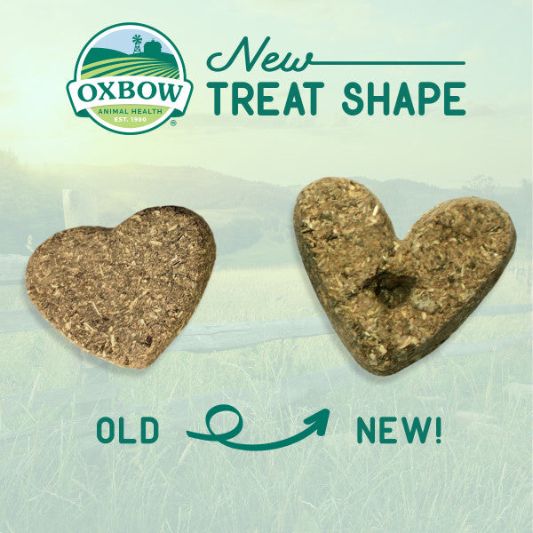 Oxbow Simple Rewards Baked Treat Peppermint 2 oz