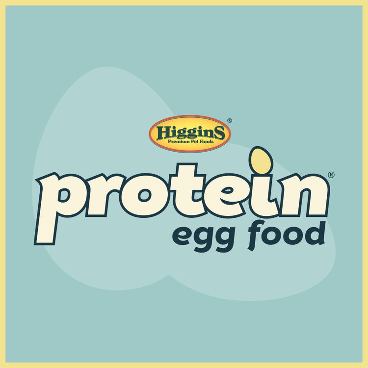 Higgins Protein Egg Food for Parakeet/Parrot/Finch/Canary