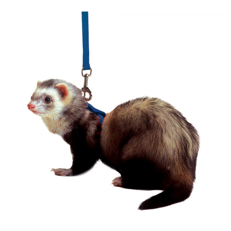 Marshall Ferret Harness & Lead Set - Exotic Wings and Pet Things
