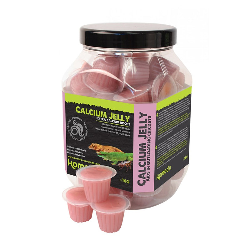 Komodo Jelly Pots
