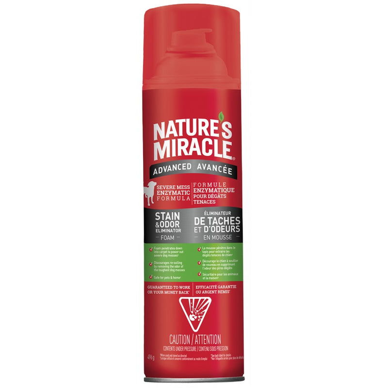 Nature's Miracle Advanced Stain & Odor Eliminator Foam 17.5 oz - Exotic Wings and Pet Things