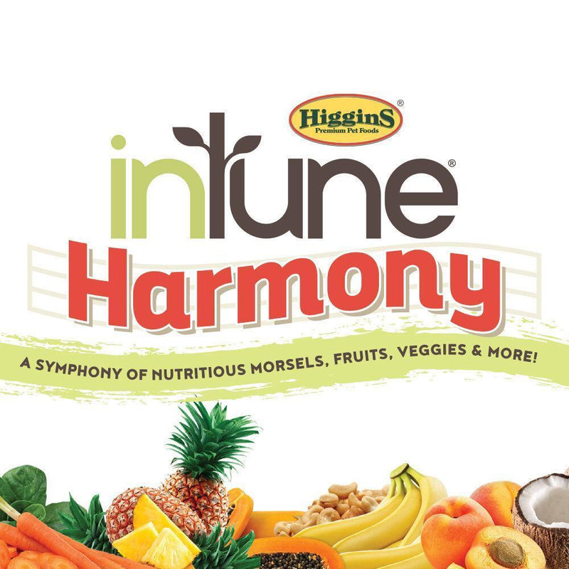 Higgins Intune Harmony Parrot Enrichment Diet
