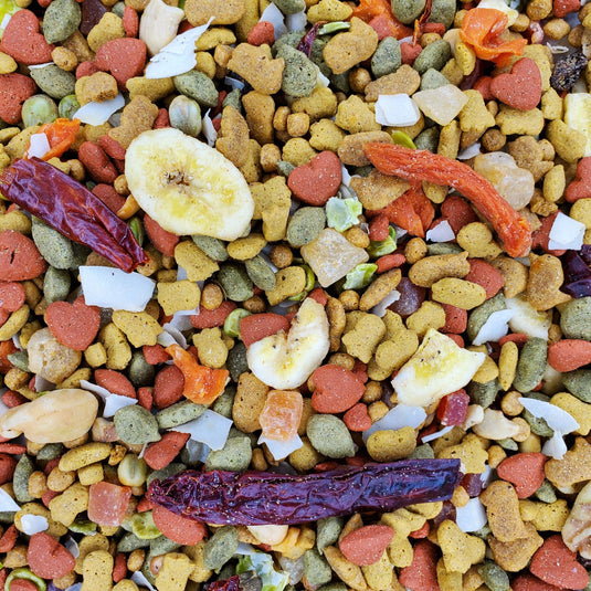 Higgins Intune Harmony Parrot Enrichment Diet