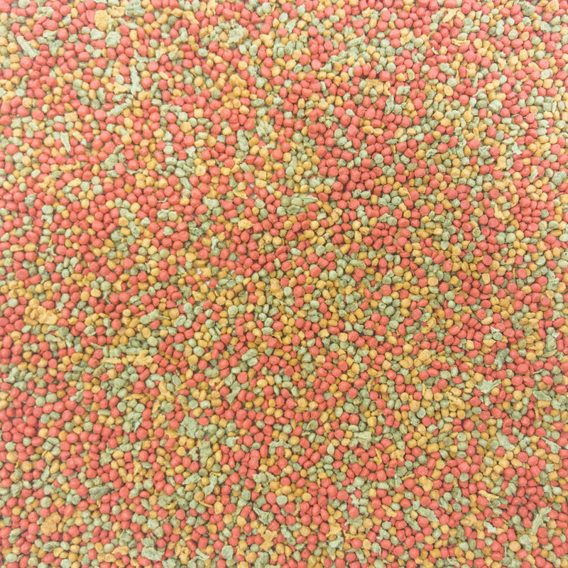 Higgins Intune Parakeet Pellet EXP 5/2025
