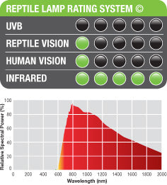 Infrared Reptile Basking Spot Bulb
