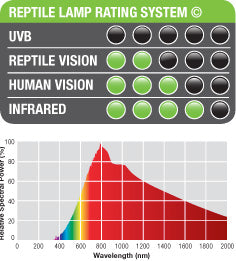 Intense Reptile Basking Spot Bulb
