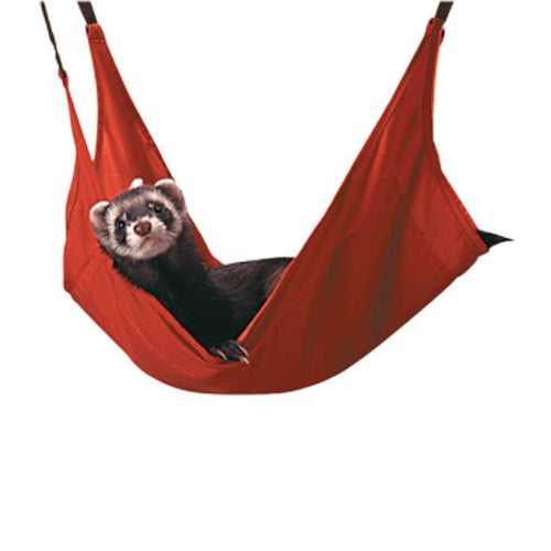 Marshall Leisure Lounge for Ferrets - Exotic Wings and Pet Things