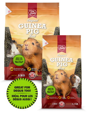 Martin Mills Little Friends Original Extruded Young Guinea Pig Food