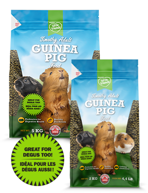 Martin Mills Little Friends Timothy Extruded Adult Guinea Pig Food