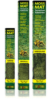 Moss Terrarium Substrate Mat
