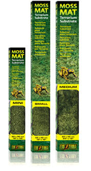Moss Terrarium Substrate Mat