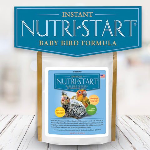 Lafeber's Nutri Start Hand Feeding Formula