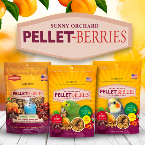 Lafeber's Sunny Orchard Pellet-Berries Parakeet
