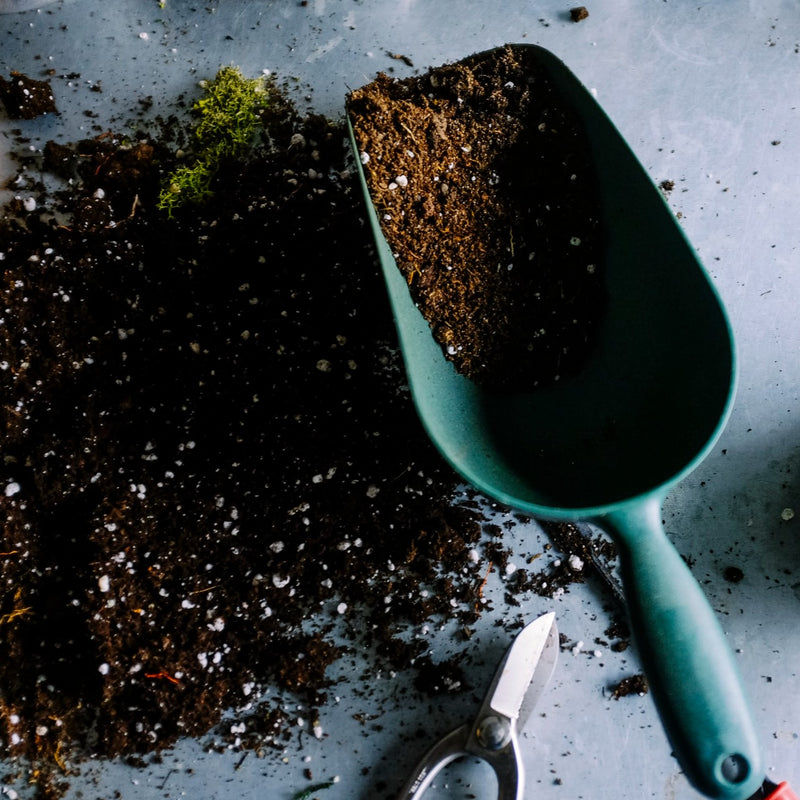 Indoor / Outdoor Potting Soil Mix 6kg - (13lbs)
