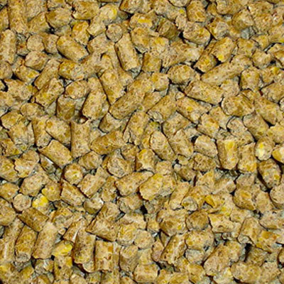 Pigeon Pellets by Conestogo Bird Seed Company 25 kg - Exotic Wings and Pet Things